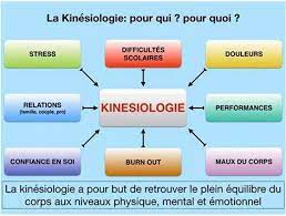 formation kinésiologie